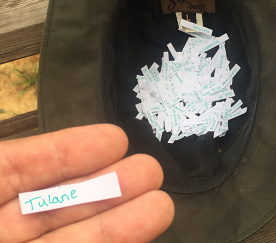 Tulane is the first school picked at random from my hat